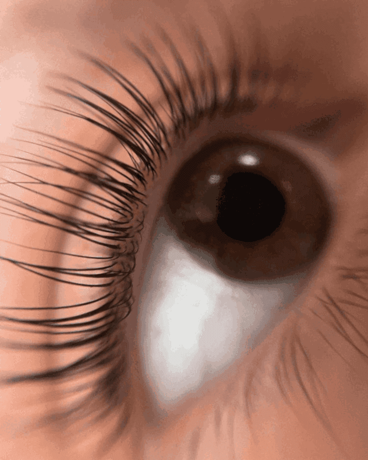 lash-1