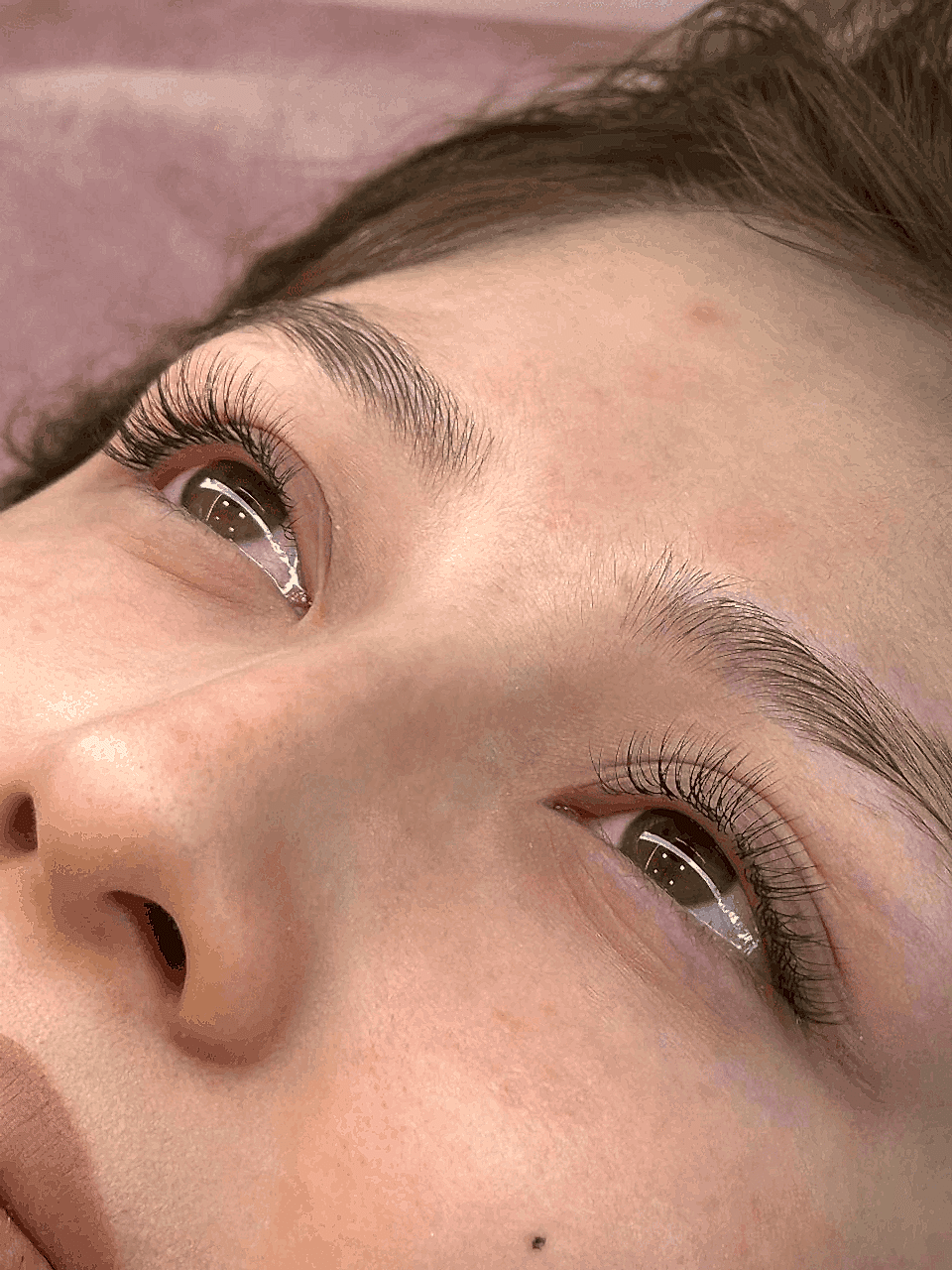 lash-3